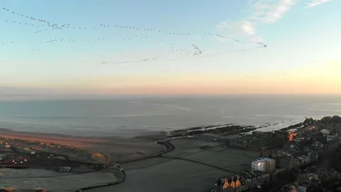 Migrating birds fly over St Andrews into sunrise Stock Footage 145520078