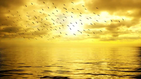 Migrating birds flying over the ocean in front of a beautiful golden sunset. Stock Footage