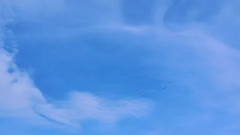 Migrating Cranes Flying in V Formation Under Cirrostratus Clouds Stock Footage 306604690