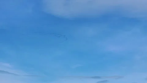 Migrating Cranes in V Formation with Plane Crossing under Blue Sky 스톡 동영상 306603745