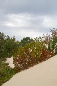 Migrating dune Stock Photos