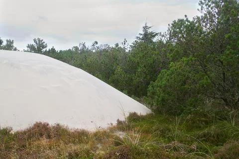 Migrating sand threatening forest Stock Photos