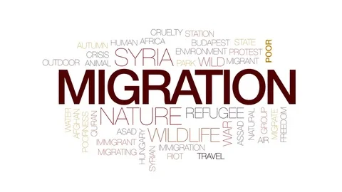 Migration animated word cloud, text design animation. Kinetic typography. Stock Footage 75768139