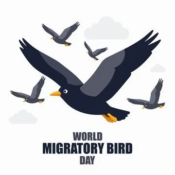 Migratory bird world day Illustrazione stock