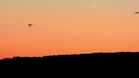 Migratory birds in front of a sundown 4k 25fps video 스톡 동영상 280710128