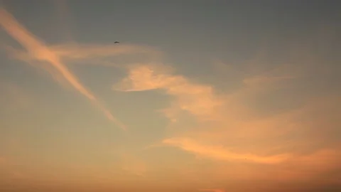Migratory birds in sky Video stock 133269815