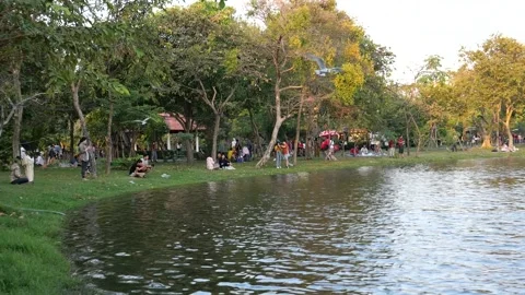 Migratory seagulls Stock-Footage 133159311