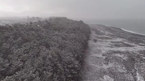 Miho no Matsubara Pine Forest Snow Winter Coast Aerial Drone 4K Видео 329064048