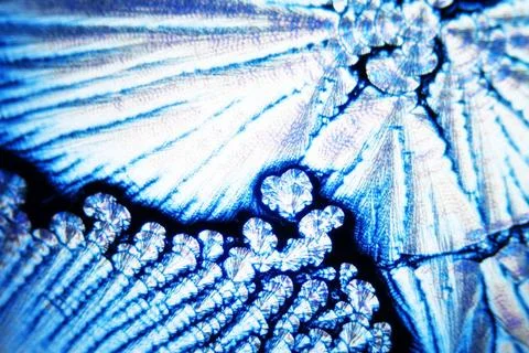 Mikrokristalle der Ascorbinsäure Microcrystals of ascorbic acid in polariz.. Stock Photos