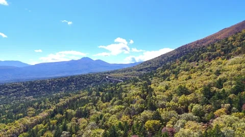 Mikuni Pass Forest Canopy Rise Hokkaido│Aerial view of vast autumn wilderness Stock Footage 329047728