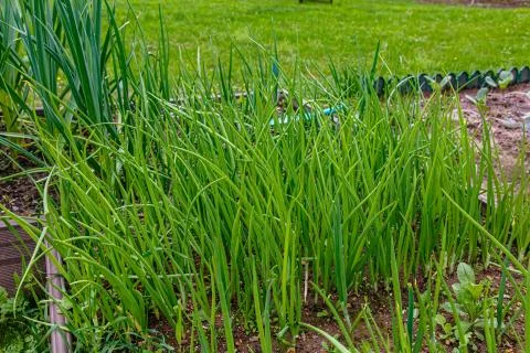 MIL 7281 Stock Photos