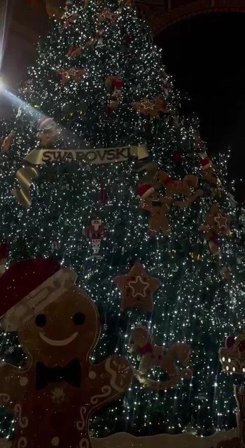 Milan Christmas time 動画素材 230108492