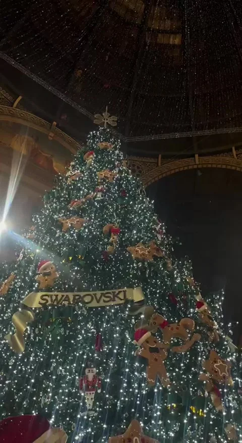 Milan Christmas time 動画素材 230108498