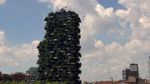 Milan tree buliding Video stock 156679032