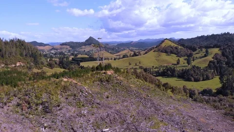 Mild Deforestation Aerial Stock Footage 124633266
