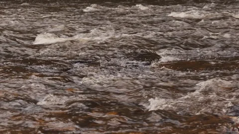 Mild River Rapids Vídeo Stock 126997732