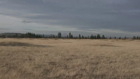 Mild Wind Across Dry Plains at Golden Hour, static shot Video stock 332308590