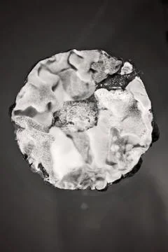 Mildew on the cake Foto stock gratuite