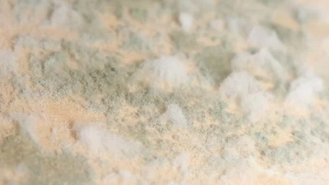 Mildew, mold on the wall are painted in color. Vertical video Stock Footage 249750984
