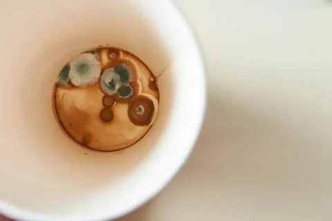 Mildew paper cup, top view. Stock Photos