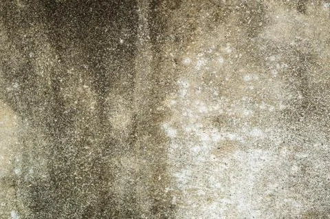 Mildewed wall background Stock Photos