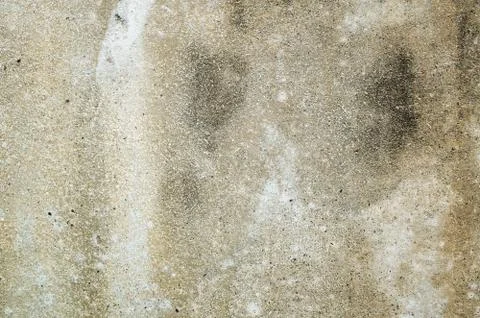 Mildewed wall background Stock Photos