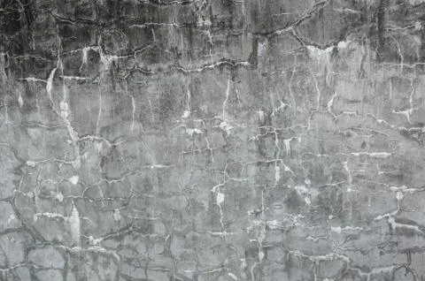 Mildewed wall background 库存照片