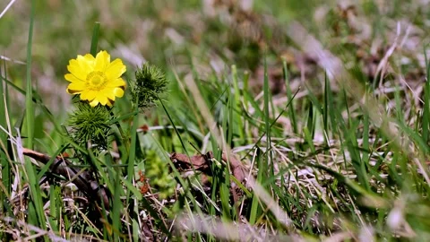 Milek2 Stock Footage 134455170