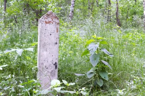 A milestone on the edge of the forest. pointed shape, made of concrete Stock Photos