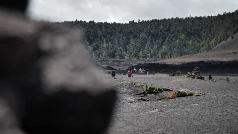 Milestones 38 Stock Footage 155494879