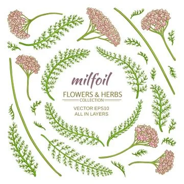 Milfoil elements set Illustrazione stock