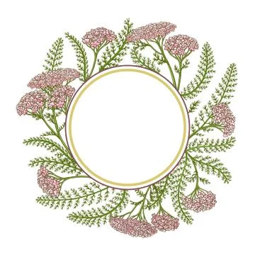 Milfoil vector frame Stock Illustration