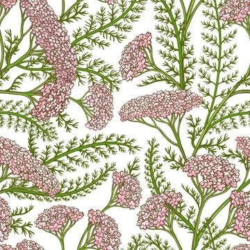 Milfoil vector pattern Stock Illustration