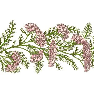 Milfoil vector pattern Stock Illustration