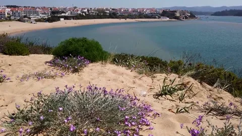 Milfontes river view Video stock 201207656