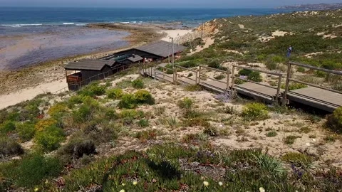 Milfontes spring coast Video stock 201208566