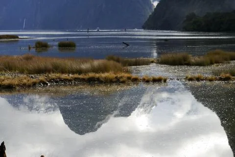 Milford reflections Stock Photos