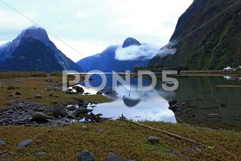 Milford sound, new zealand Stock Photos