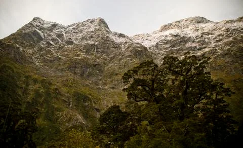 Milford track Stock Photos
