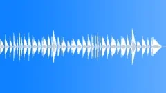 Military Bugle General's Salute Call Stock Music