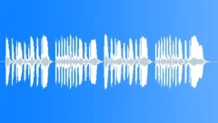 Military Bugle Guard Salute Call Stock Music