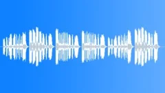 Military Bugle Parade Warning Call Stock Music