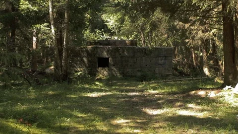Military bunker in the forest Stock Footage 86522343