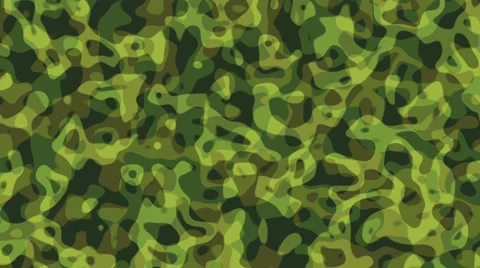 Military Camouflage Stock-Footage 34762708