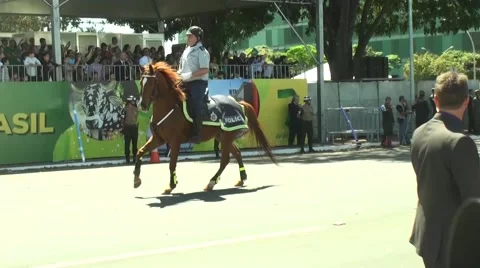 Military Cavalry Stock Footage 42601970