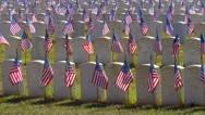 Military Cemetery With Flags On Graves Stock Footage