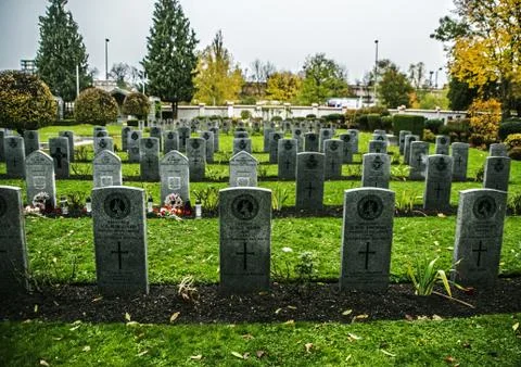 Military cemetery Stock Photos