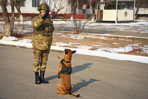 Military exercises of the armed engineering forces Фото