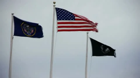 Military flags Vidéo 10593748