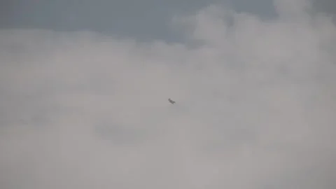 MILITARY Stock Footage 262331813